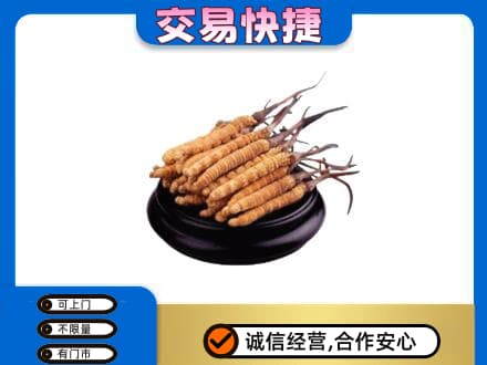 景德镇乐平市回收冬虫夏草多少钱每克